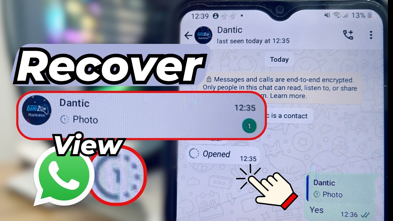 como-usar-o-aplicativo-whatsapp-gb